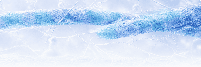 Extracellular Matrix (ECM) Proteins